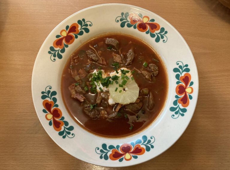 Soljanka mit Rindfleisch, Schmand, Zitronenscheibe und Schnittlauch im Teller mit Blumenmuster